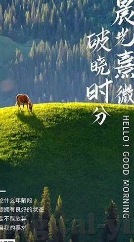 韩国伦理道德电影-韩国伦理道德电影，文化镜像下的情感与道德探索